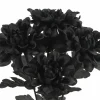 12" Black Dahlia Bush by Ashland®