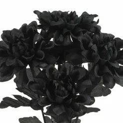 12" Black Dahlia Bush by Ashland®