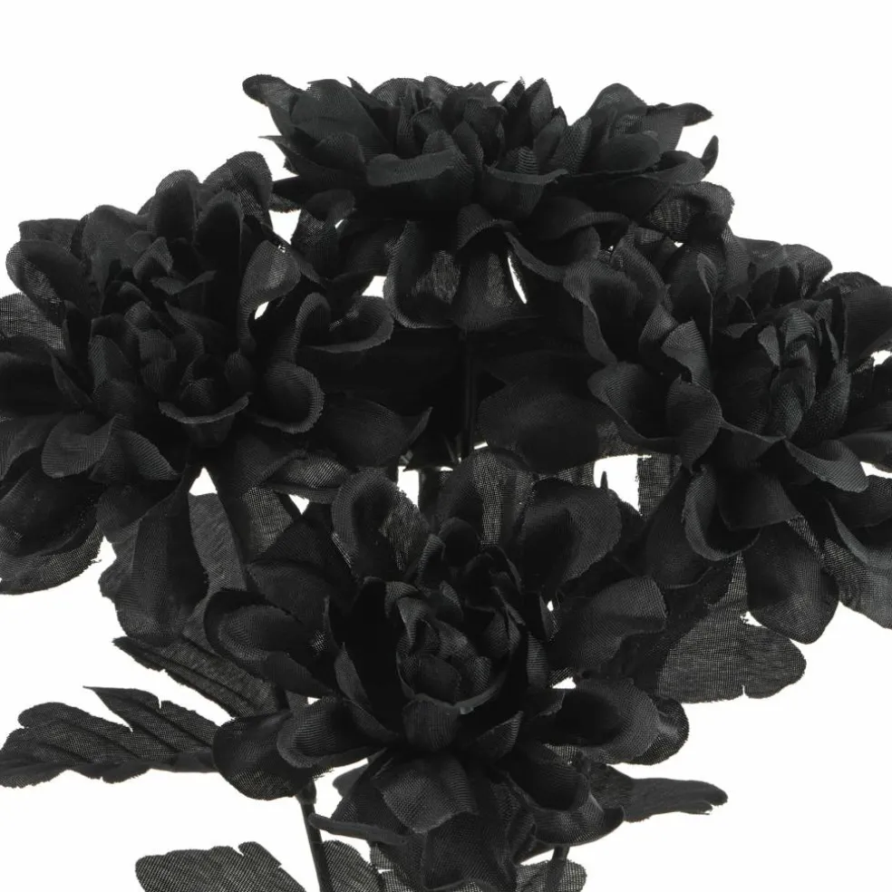 12" Black Dahlia Bush by Ashland®