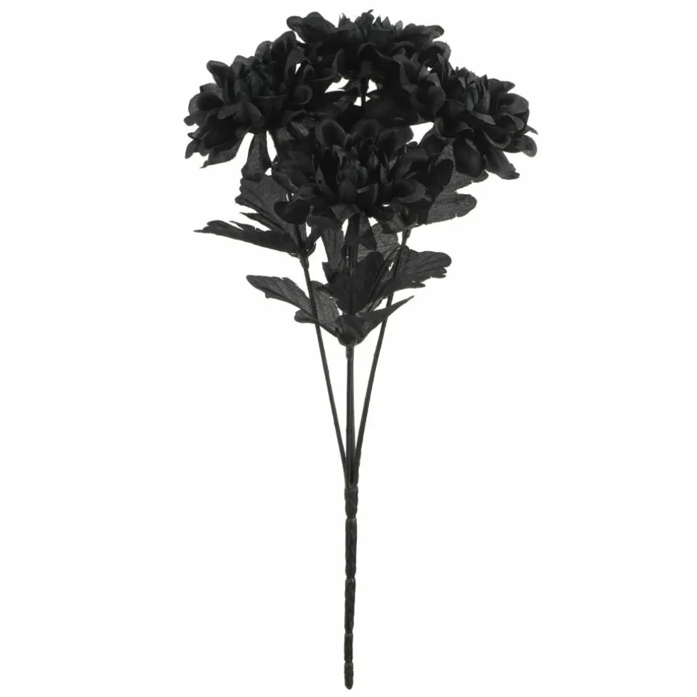 12" Black Dahlia Bush by Ashland®
