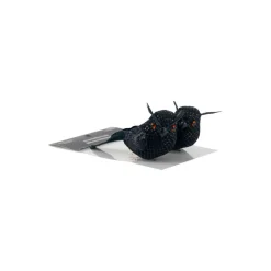 Black Decorative Owls, 2ct. by Ashland®