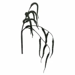 9.5" Black Dripping Amaranth Pick by Ashland®