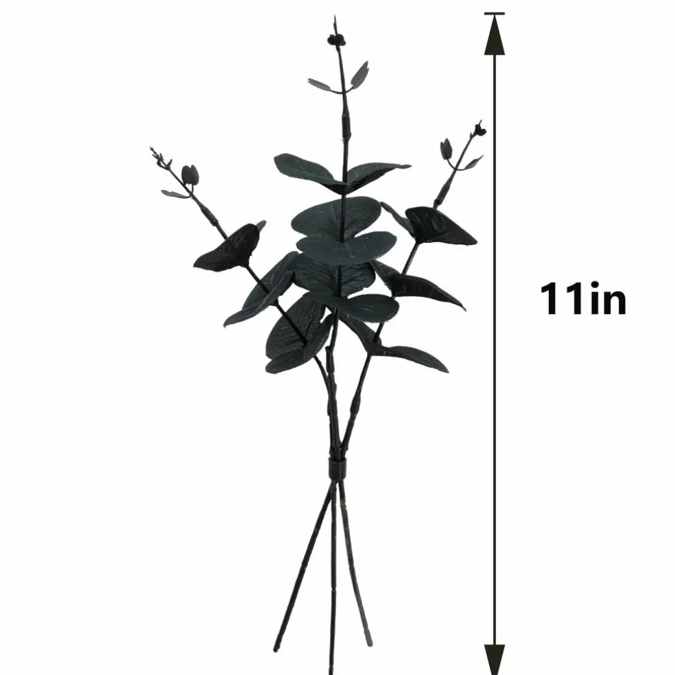 12" Black Eucalyptus Mini Bundle by Ashland®