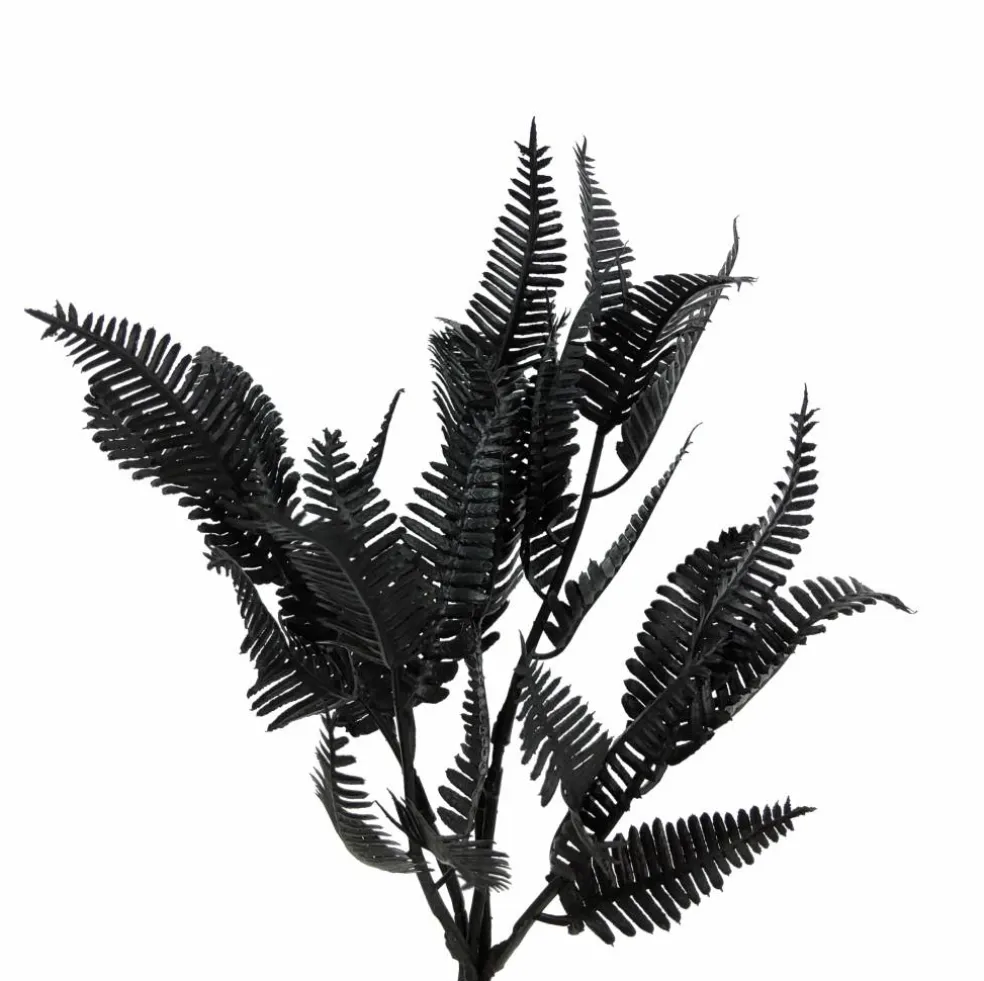 12" Black Fern Mini Bundle by Ashland®