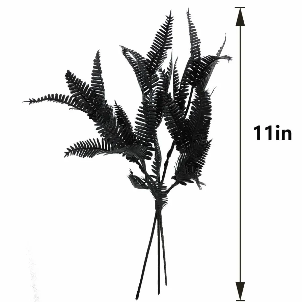 12" Black Fern Mini Bundle by Ashland®