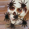 Black Furry Spiders, 6ct. by Ashland®