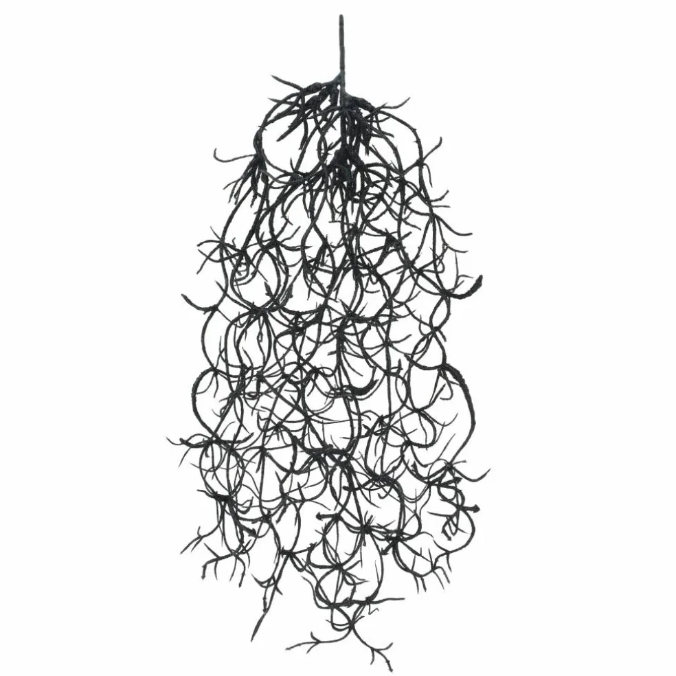 10" Black Hanging Spanish Moss Pick by Ashland®