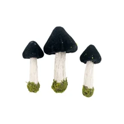 Black Mushroom Accents, 3ct. by Ashland®