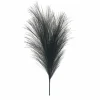 13.5" Black Pampas Pick by Ashland®