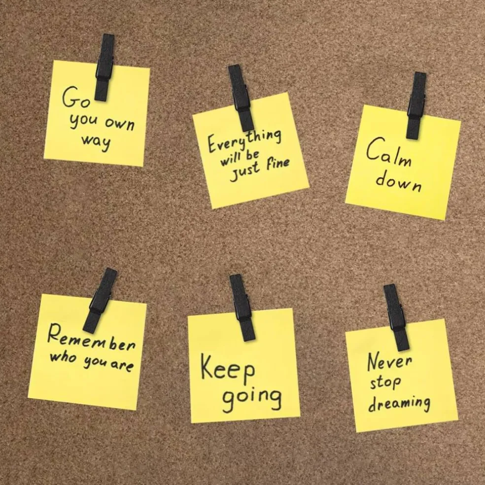 50 black push pins with spring-loaded wooden clips damage-free cork board tacks for photos notes and artwork