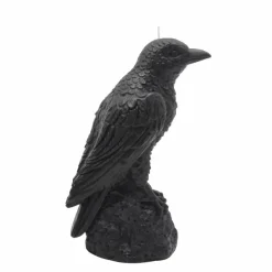 6.5" Black Raven on Stone Unscented Candle by Ashland®