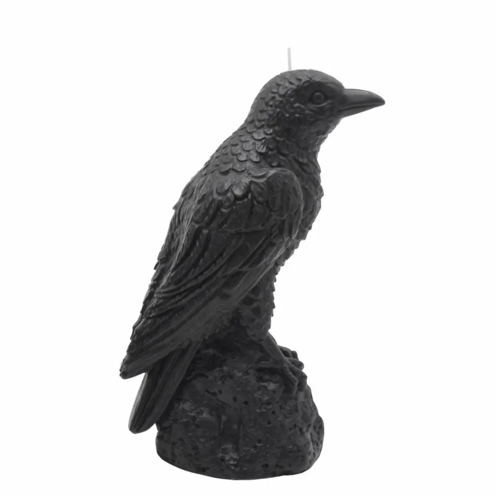 6.5" Black Raven on Stone Unscented Candle by Ashland®