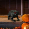 9.5" Black Toad by Ashland®