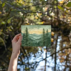 Blank Cards with Envelopes All Occasion