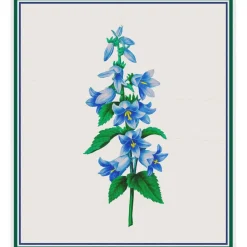 Blue Bell Flowers Inspired by Pierre-Joseph Redoute Counted Cross Stitch Pattern