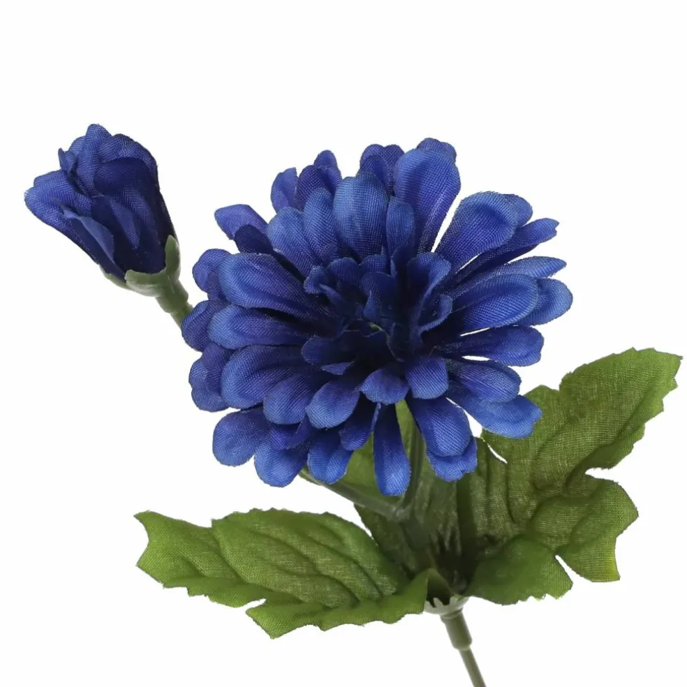 14" Blue Zinnia Bush from Ashland®