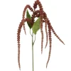 Blush Amaranthus Stem by Ashland®