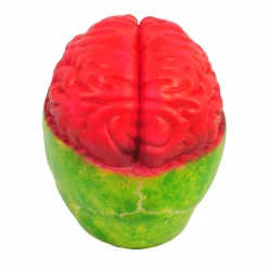 8" Brainy Skull by Ashland®