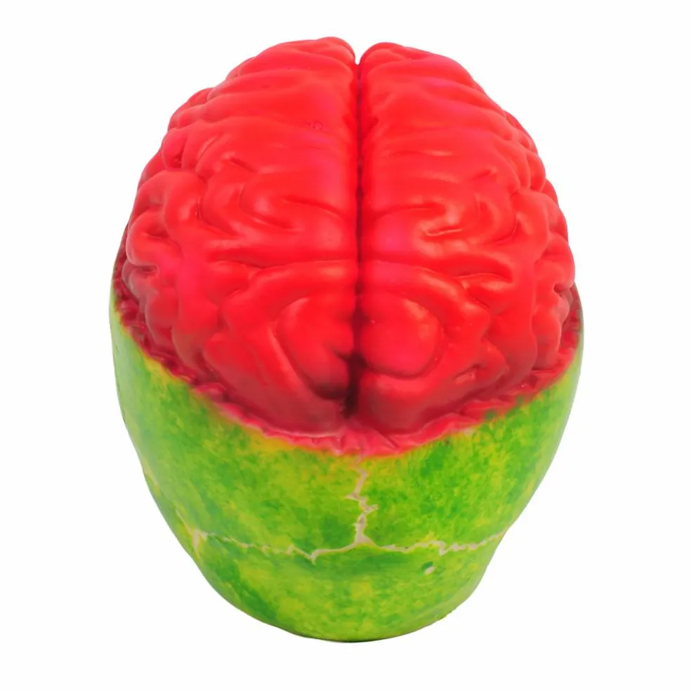 8" Brainy Skull by Ashland®