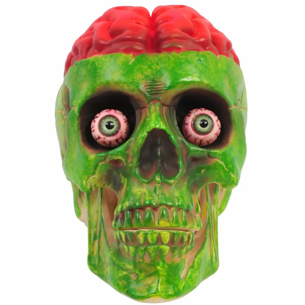 8" Brainy Skull by Ashland®