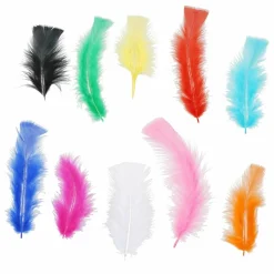 Bright Feathers Value Pack by Creatology™