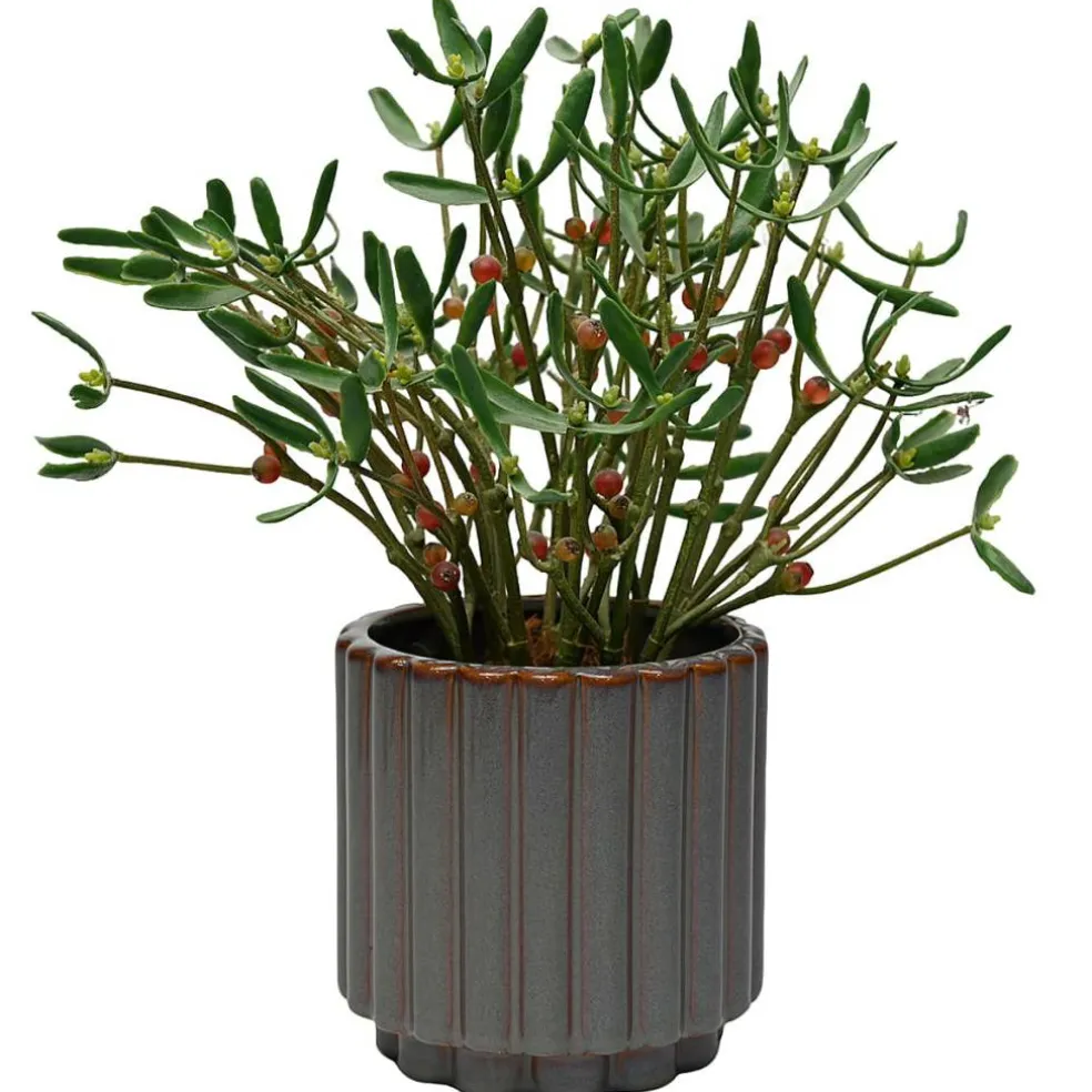 5.75" Brown Ceramic Pot by Ashland®