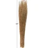 42" Brown Dried Natural Mustard Plant Foliage