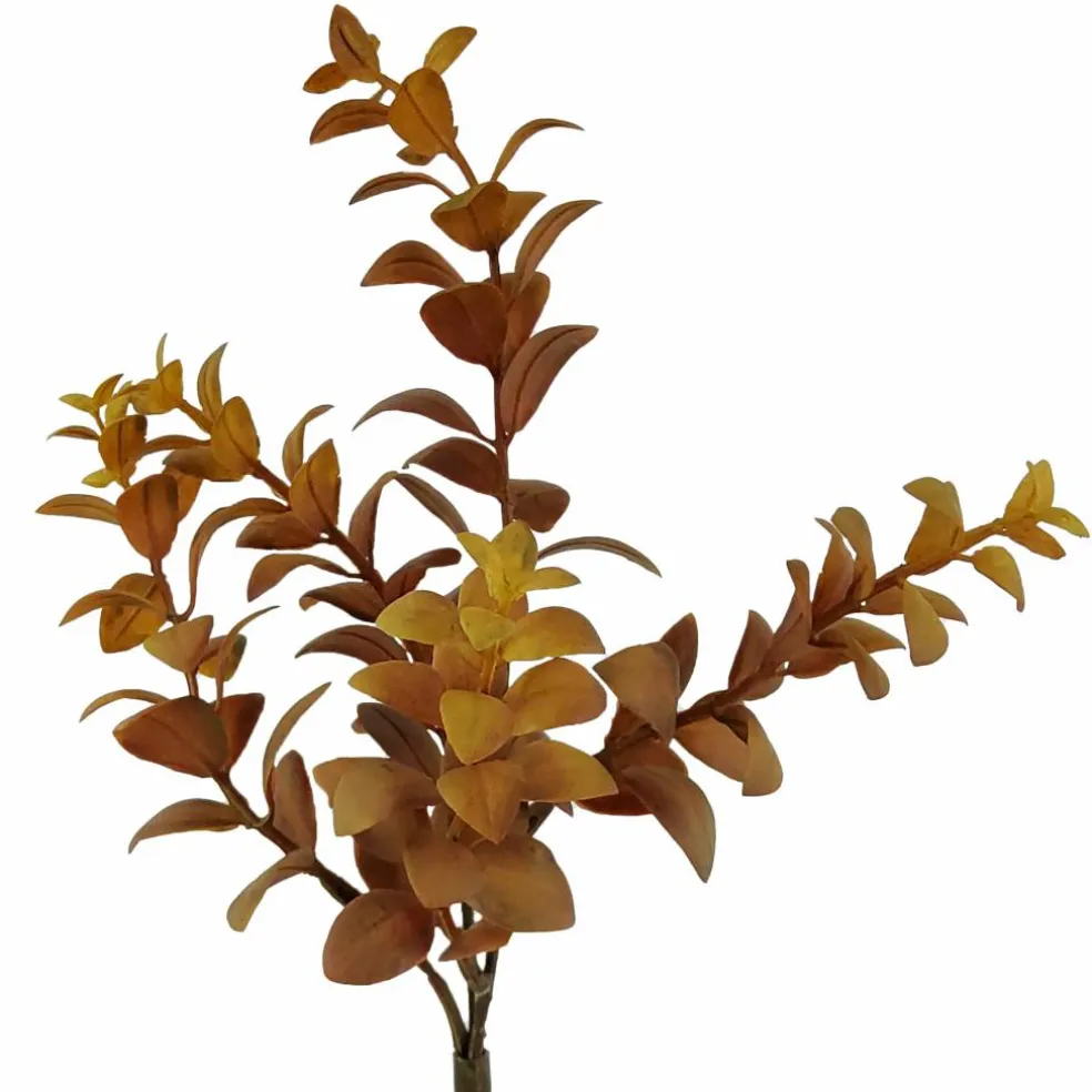 12" Brown Eucalyptus Bundle by Ashland®