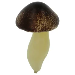 Brown & Orange Mushroom Mix by Ashland®