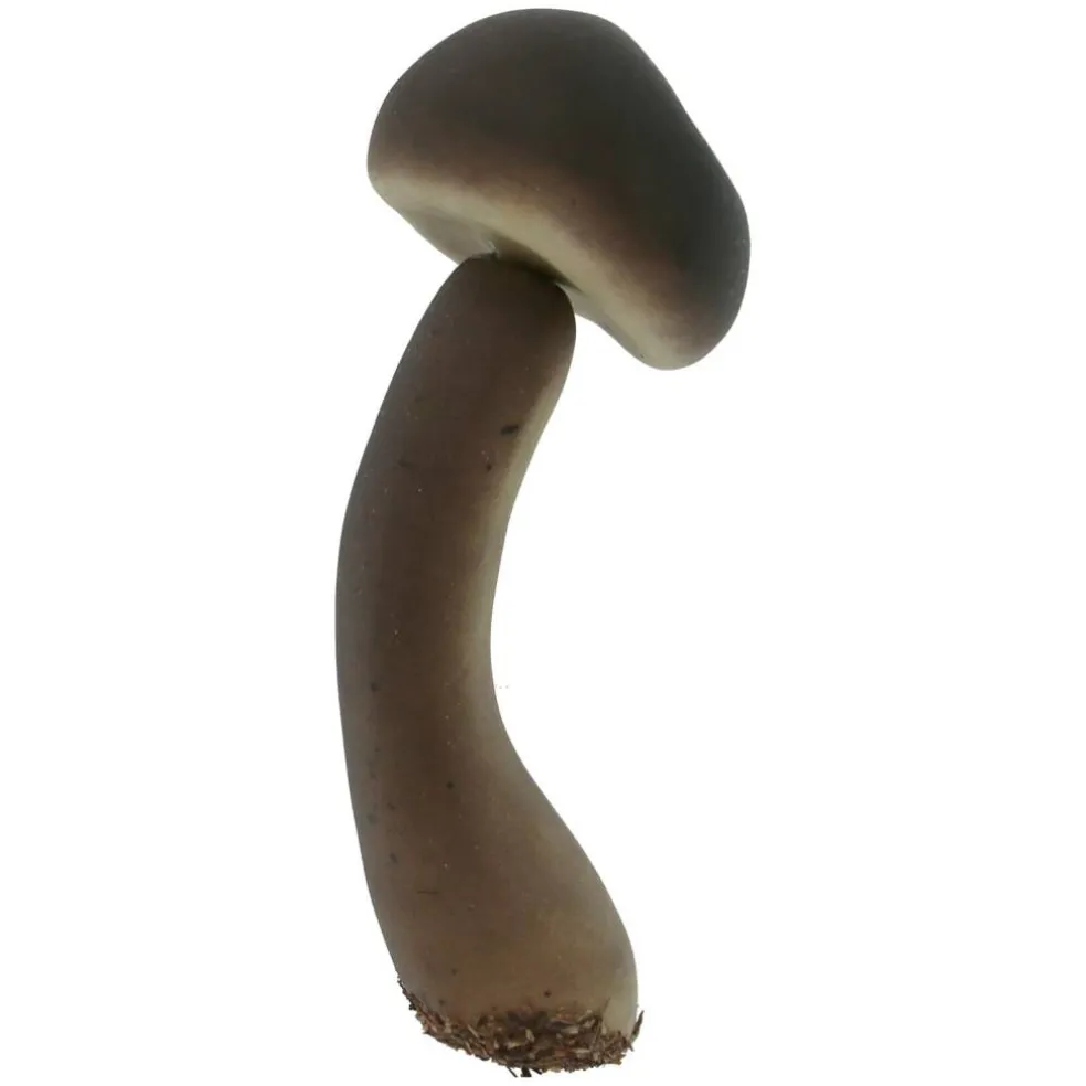 Brown & Orange Mushroom Mix by Ashland®
