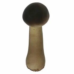 Brown & Orange Mushroom Mix by Ashland®