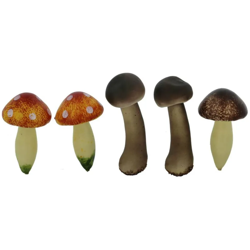 Brown & Orange Mushroom Mix by Ashland®