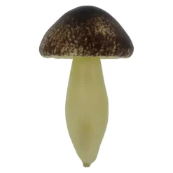 Brown & Orange Mushroom Mix by Ashland®