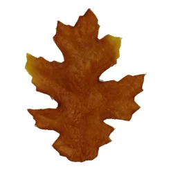 Brown, Orange & Yellow Maple Leaves by Ashland®