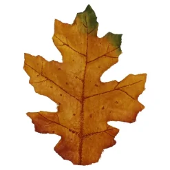 Brown, Orange & Yellow Maple Leaves by Ashland®