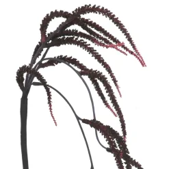 9.5" Burgundy Dripping Amaranth Pick by Ashland®
