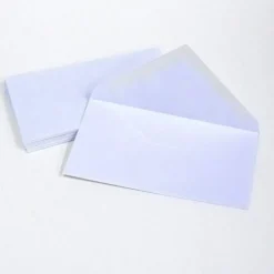 #10 Business Envelopes, 50 Pack | Mailing Envelopes for Letters, Invoices, Statements & Office Correspondence