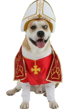 California Costume Collection Holy Hound Pet Costume Large