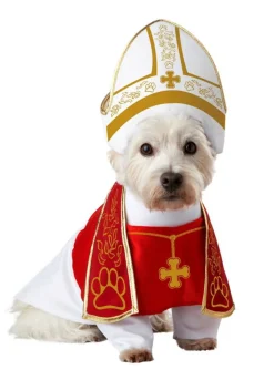 California Costume Collection Holy Hound Pet Costume Large