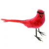 Cardinal Bird by Ashland®
