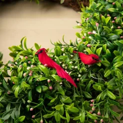Cardinal Birds by Ashland®