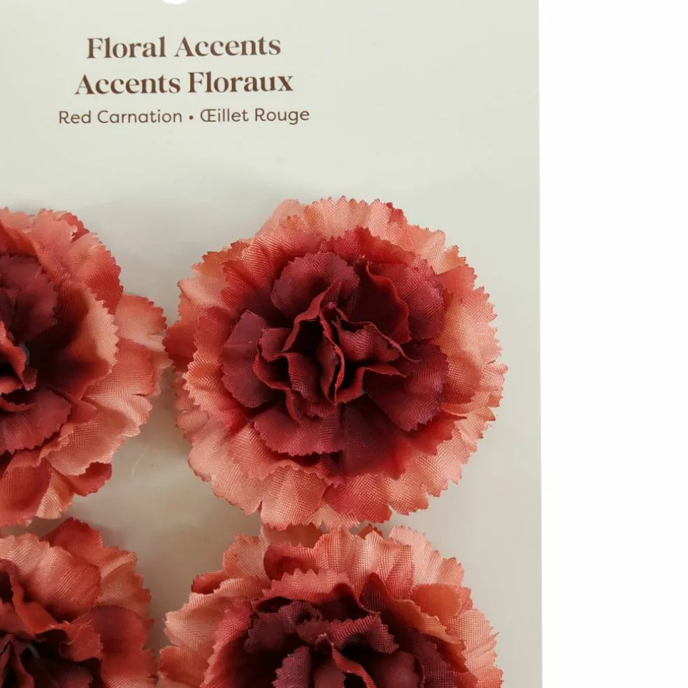 Carnation Floral Accents, 4ct. by Ashland®