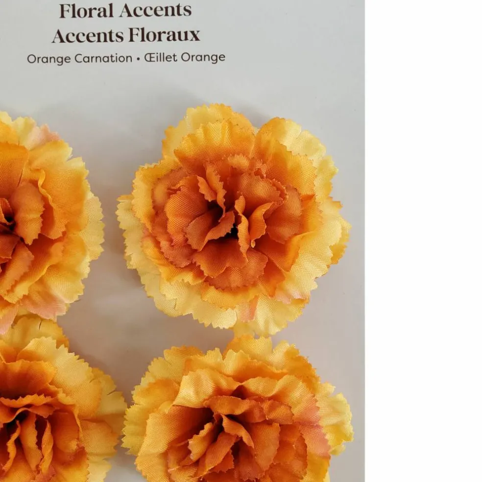 Carnation Floral Accents, 4ct. by Ashland®