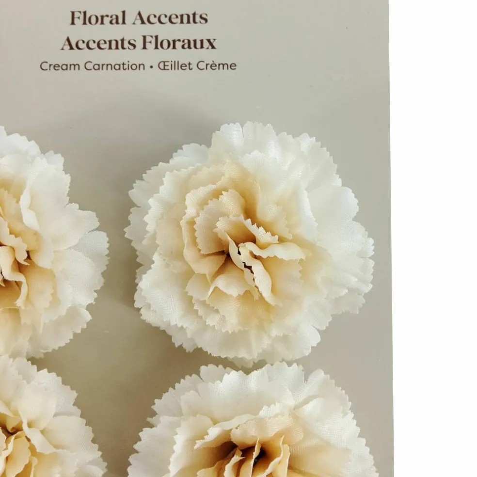 Carnation Floral Accents, 4ct. by Ashland®