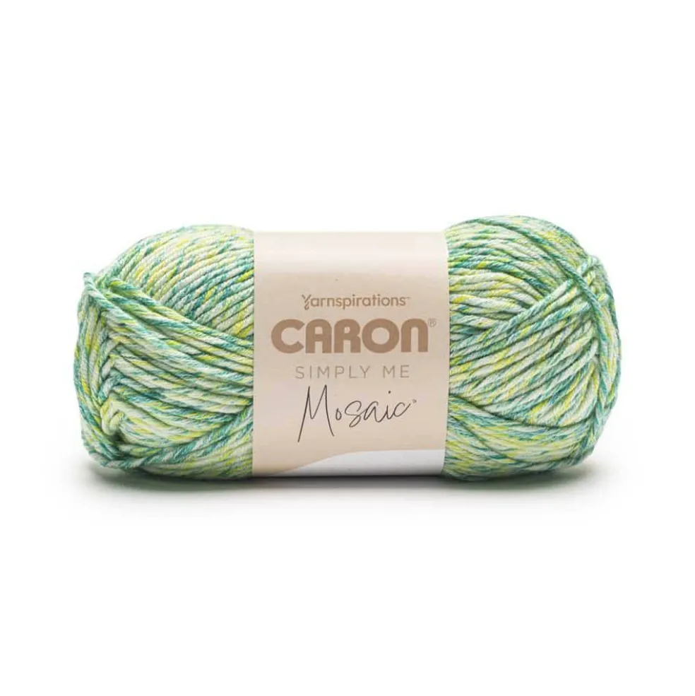 Caron® Simply Me Mosaic™ Yarn
