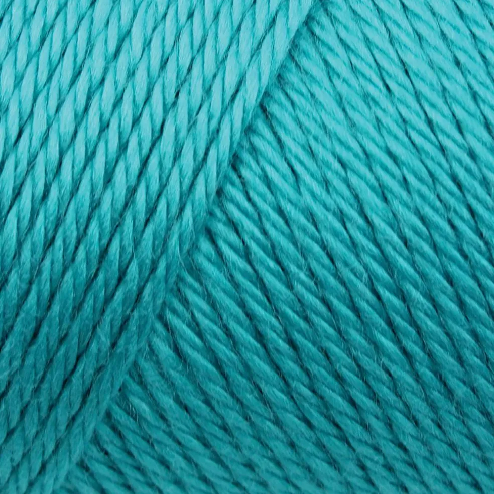 Caron® Simply Soft® Solid Yarn