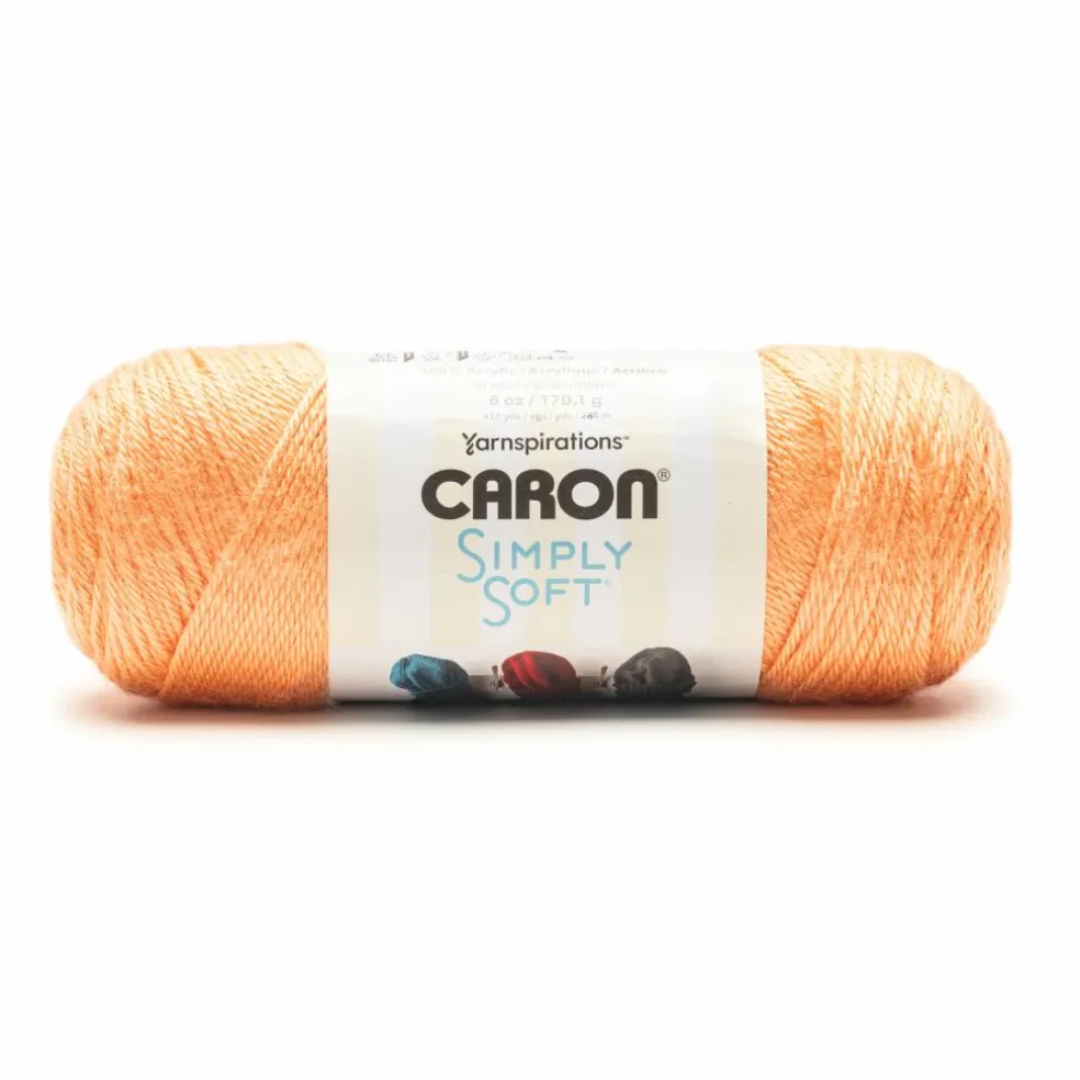Caron® Simply Soft® Solid Yarn