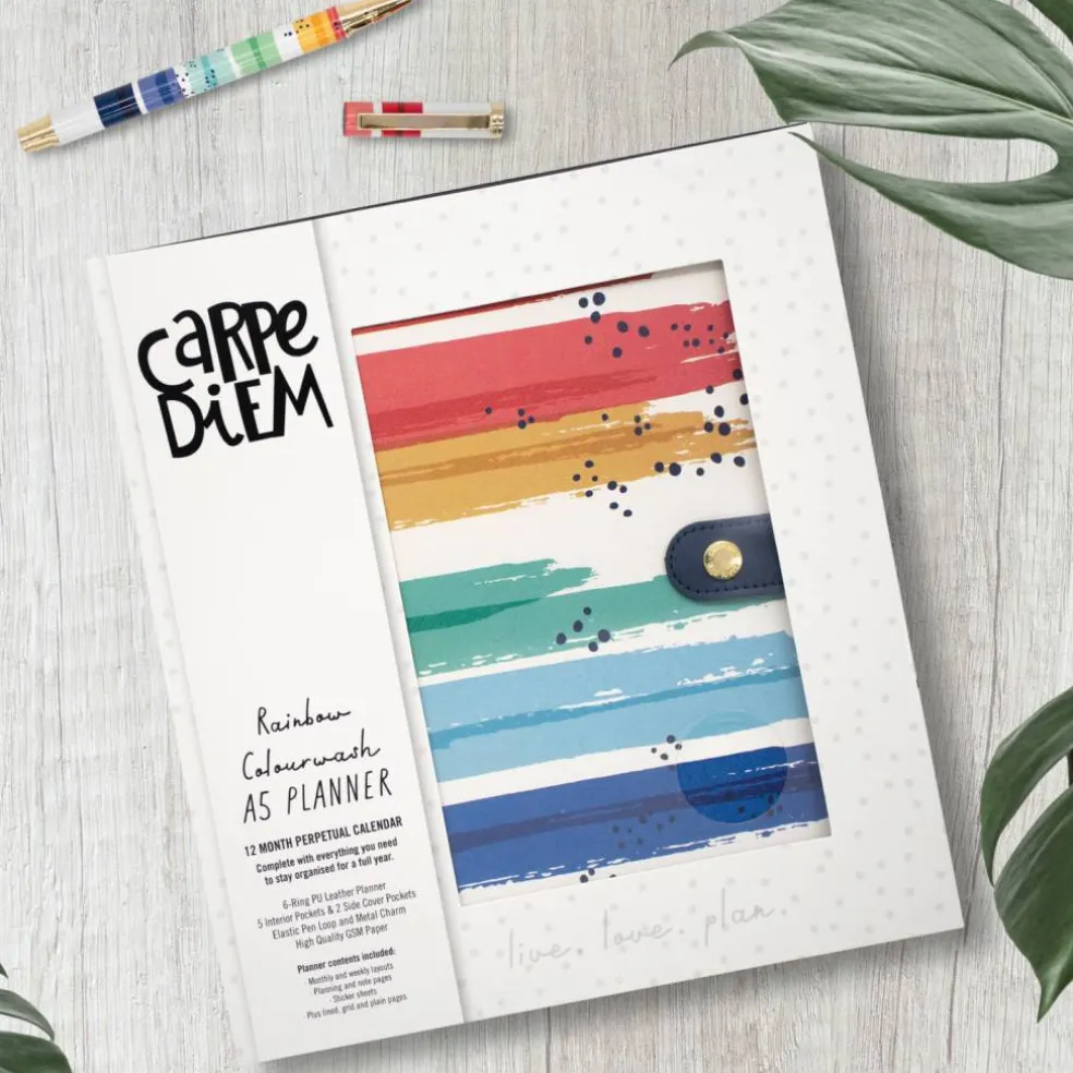 Carpe Diem A5 Color Wash Planner