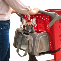 Cart Cruiser