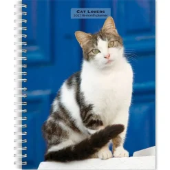 Cat Lovers | 2027 6 x 7.75 Inch Spiral-Bound Wire-O Weekly Engagement Planner Calendar | New Full-Color Image Every Week